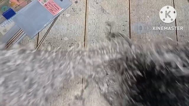 Связала шапку-ушанку спицами для внука...