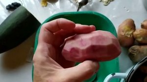 Сорт картошки "Сюрприз".