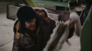 Хозяйка тайги.mp4