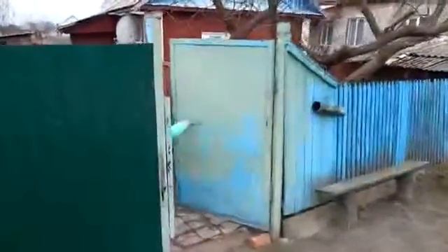 Лоев. 112 добрых дел БМООСП смотреть онлайн