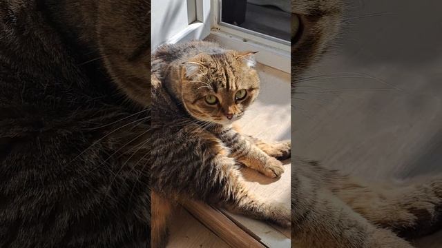 мужчины поймут #прикол