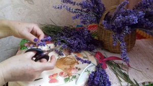 #Саше из ЛАВАНДЫ# своими руками.