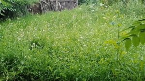 Stihl Fs 400 hard work