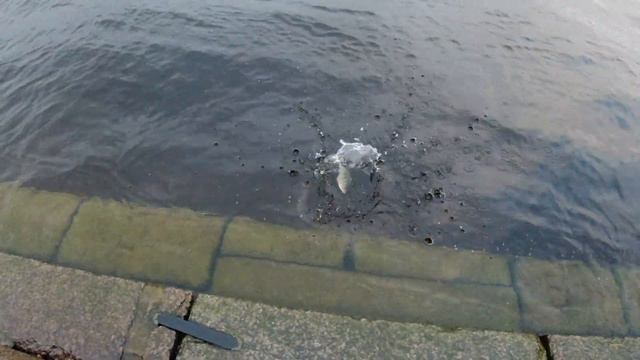 #100 Ultra Light | ДОЮЙ JinTai BLACK DRAGON | Djig-rig & Толстые окуни | смотреть онлайн