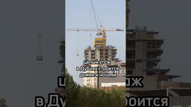 Выгоднее бизнеса нет! смотреть онлайн