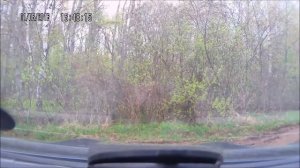Кашкай+2 на легком бездорожье