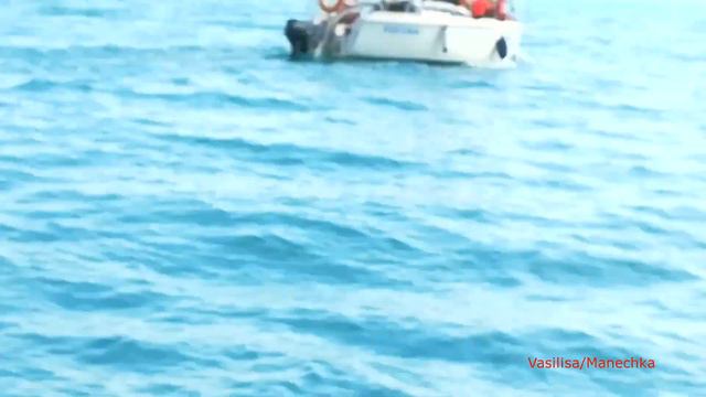 Морская прогулка с детьми на катамаране/ Утриш/ Анапа/Экскурсии