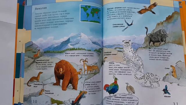 АТЛАС ЖИВОТНЫХ/ОБЗОР КНИГ смотреть онлайн
