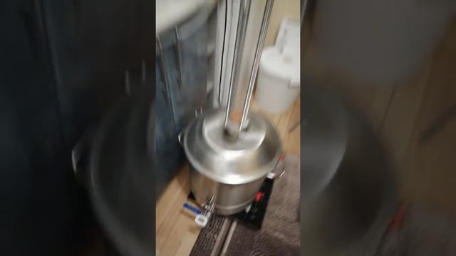 Покупка люкссталь 7м