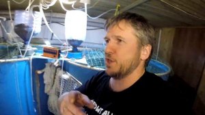 Автоматика в УЗВ. Основная идея. Полезное и бесполезное.