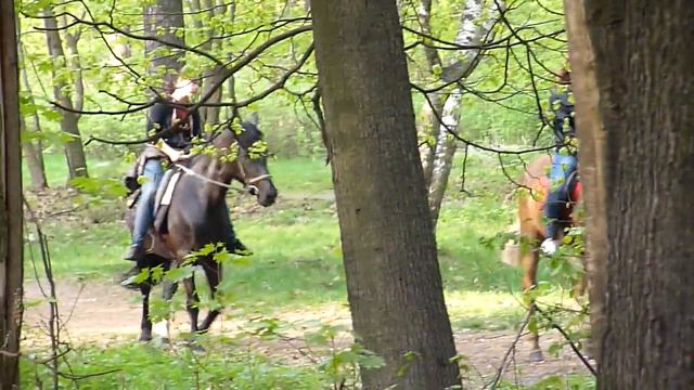 тёлочки на лошадках