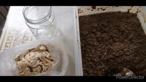 Лучший рецепт ливерной колбасы и паштета.