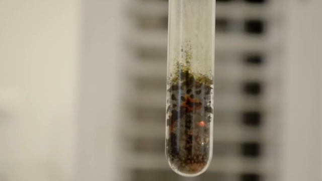 Реакция серы с порошками металлов / Reaction of sulfur with metal powders смотреть онлайн