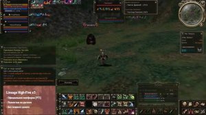 Lineage ll   Спойл СоПов