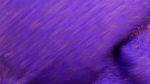 16323 Букле- шерсть