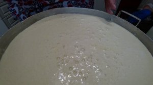 Запеченное молозиво. Сыр из молозива