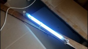 Обработка яйца для инкубации кварцевой лампой