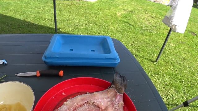 Коптим мясо и рыбу. Санина кухня в Дачных зарисовках. Август, погода так и шепчет. смотреть онлайн