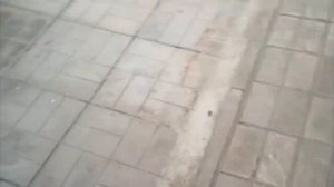 Обзор промышленного пылесоса Linolit 612D, сравнение с Дастпром ПП-220/20.7-3 и Starmix iPulse 1635