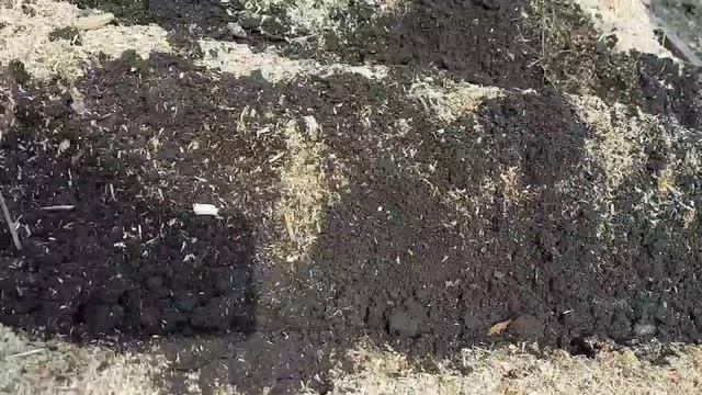 Посадка редиса в открытый грунт. Шоу "Огородница" смотреть онлайн