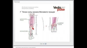 Канал Мочевого пузыря, диагностика и методы воздействия