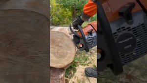 Тест драйв Hanakawa H959 vs Echo cs 4200es