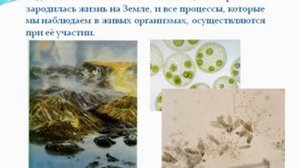 Значение воды в природе.AVI