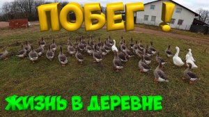 РАБОТА НИКОГДА НЕ ЗАКАНЧИВАЕТСЯ ! [Жизнь в деревне]