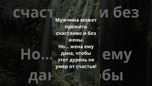 Кара небесная...🤪🤪🤪