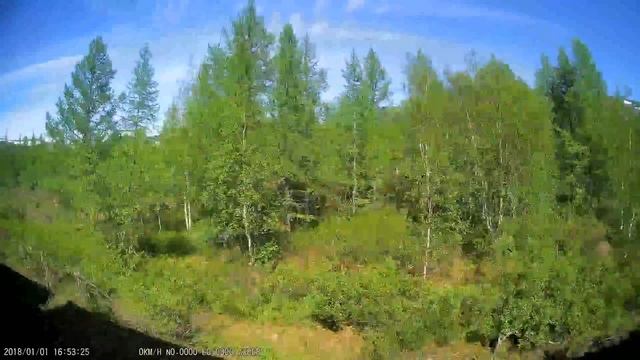 Железная дорога Харп - Собь - Полярный Урал (вид из окна поезда, сев. сторона) (Северная жд) смотреть онлайн