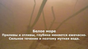 Белое море, приливы и отливы