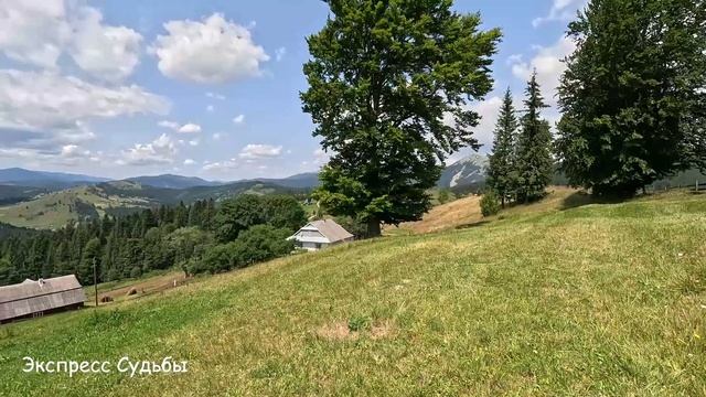 Услышав песню в парке, вдовец подошел к малышке, а увидев браслет на ее руке... смотреть онлайн