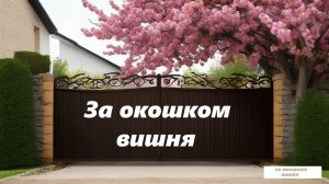 За окошком вишня