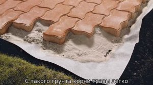 Как избавиться от травы между тротуарной плиткой