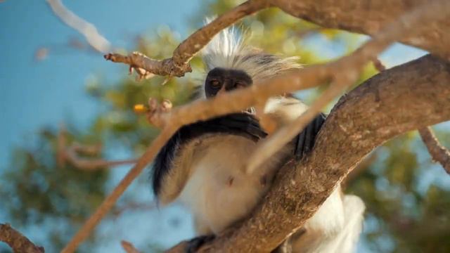 Притчи Соломона. Ветхий завет. Глава 22 смотреть онлайн