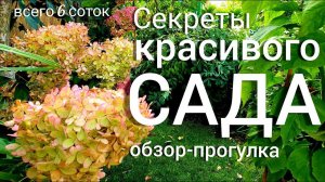 Красивый САД обзор + полезные советы. ЛУЧШИЕ РАСТЕНИЯ многолетники.