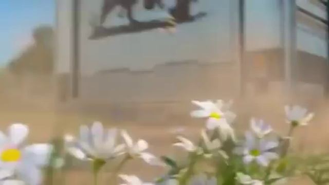 Mutfilm