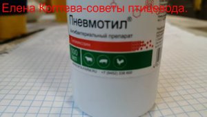 Куры чихают.Микоплазмоз у кур . Эффективное лечение и профилактика. Пневмотил.