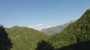 Насрудин Шейхмагомедов ''Про любимую''