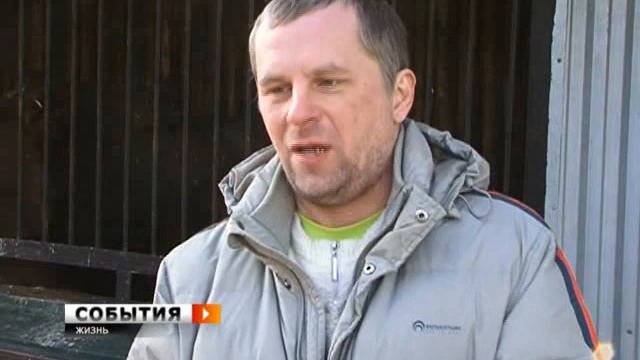 К медведю на блины смотреть онлайн