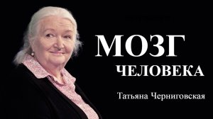 Мозг человека и ментальный лексикон. Татьяна Черниговская