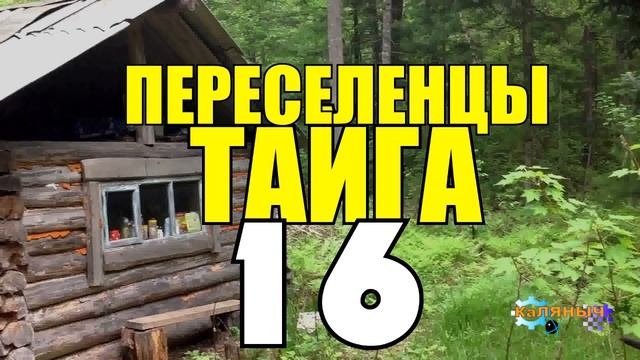ПЕРЕСЕЛЕНЦЫ В ТАЙГЕ | ЛОВУШКА ДЛЯ РЫБЫ | ЛОВЛЯ НА КИТАЙСКУЮ МОРДУ | СУДЬБА ЧЕЛОВЕКА 16