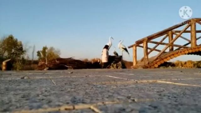 AQBURA Боровое Бурабай Burabay Отдых в Боровом