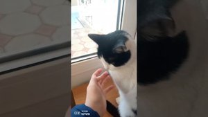 санаторий в Хвалынске