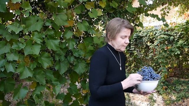 Какая женщина, мой Бог! Умна, добра и многогранна! смотреть онлайн