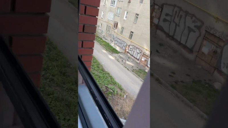 Дожили!