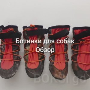 Обзор, ботинки для крупных собак