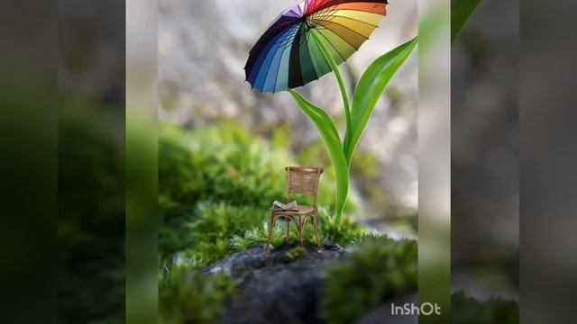 ОРГАНИЗАЦИЯ И МЕТОДИКА ПРОВЕДЕНИЯ ПРОГУЛКИ В ДОШКОЛЬНОМ УЧРЕЖДЕНИИ смотреть онлайн