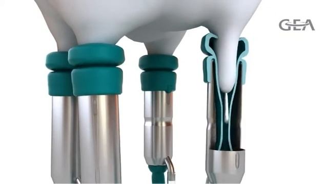 Четырёхкамерный доильный аппарат IQ смотреть онлайн