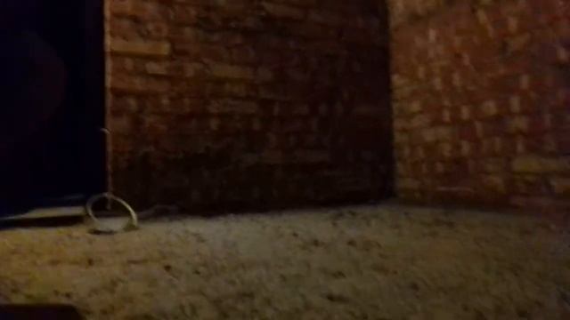 Шлифовка бетона, полиуретановая грунтовка Праймер 1101 и Полиплан 1001 с засыпкой кварцевым песком смотреть онлайн